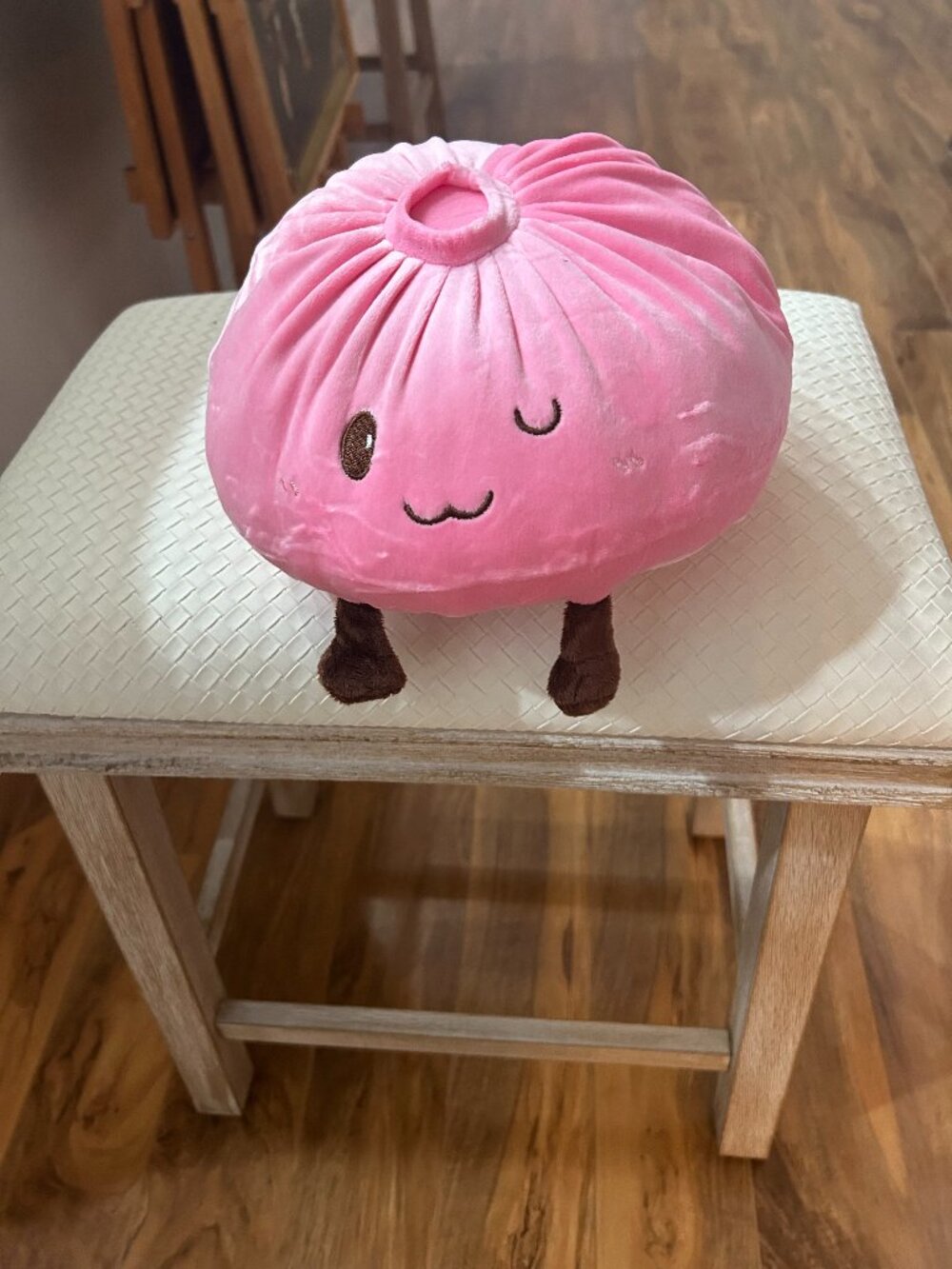 New Adorable Dumpling Stuffed Animals--They come in Pink, Orange, Purple, White